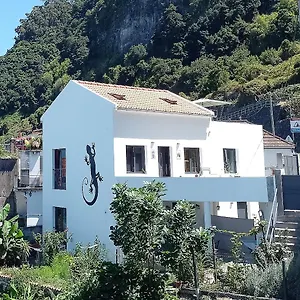 Lazy Lizard By The Ocean , Seixal (Madeira) Portugal